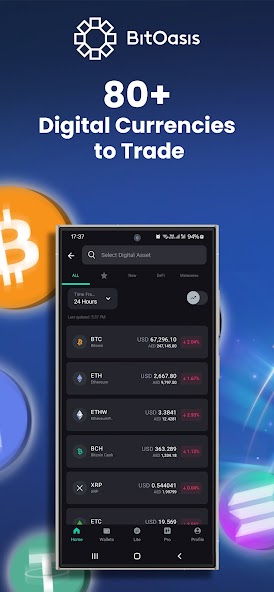 BitOasis
