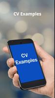 CV EXAMPLES