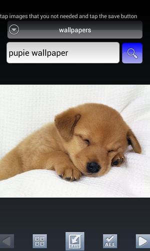 Wallpaper Search&Auto Changer