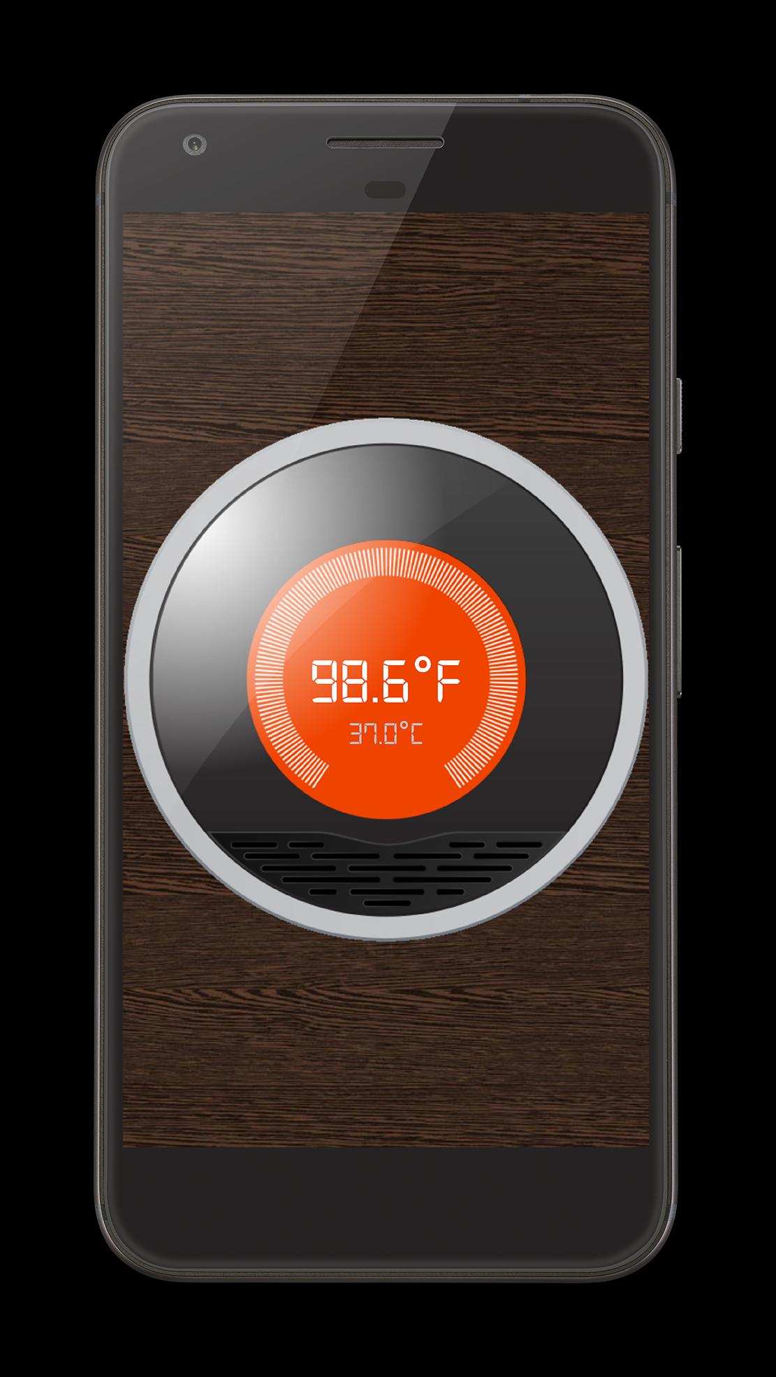 Ambient thermometer