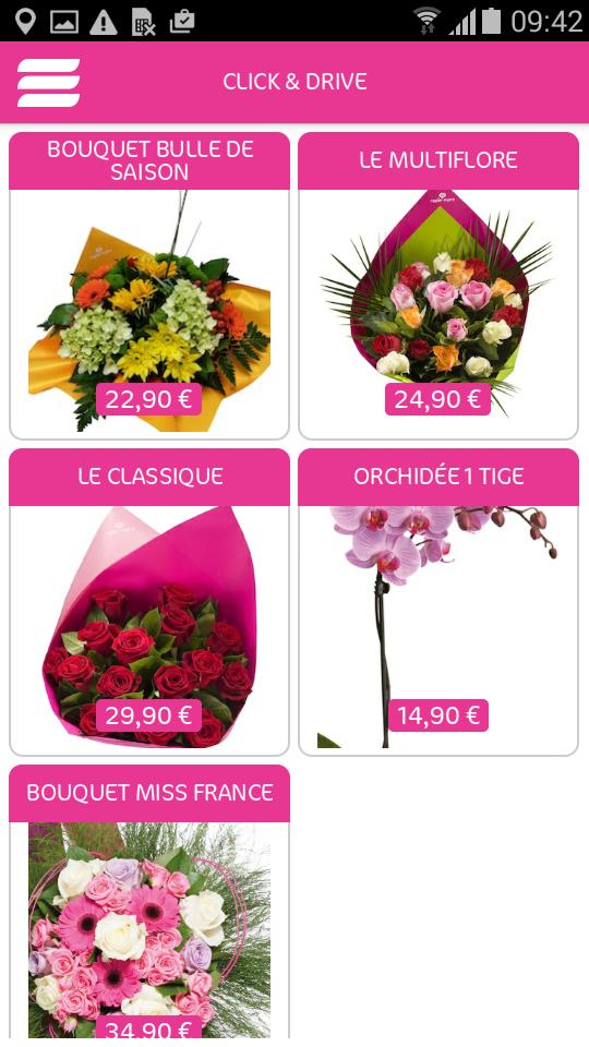 Rapid'Flore