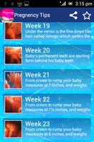 Pregnancy Tips