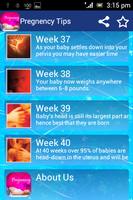 Pregnancy Tips