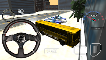 City Bus Driver