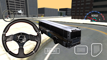 City Bus Driver