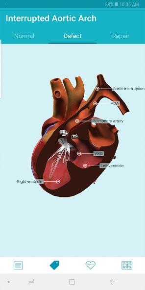Heartpedia