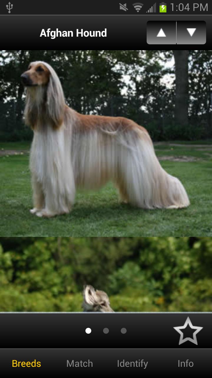 Perfect Dog Free