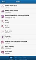 smart Histology Lite