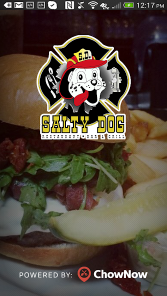 Salty Dog