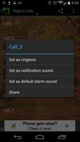 Squirrel Calls 2