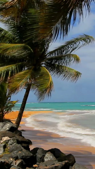 Beach and sea.