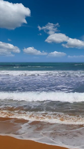Beach and sea.