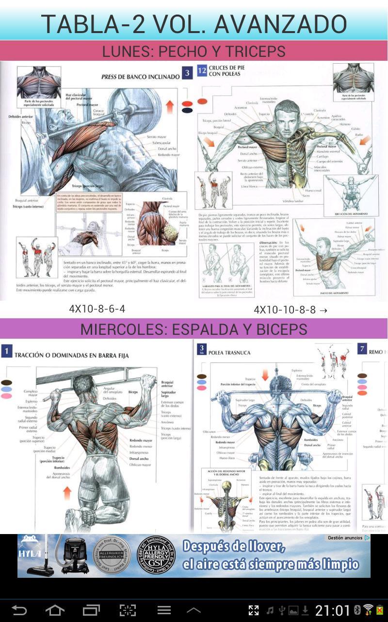 Gym Sport -ejercicios gimnasio