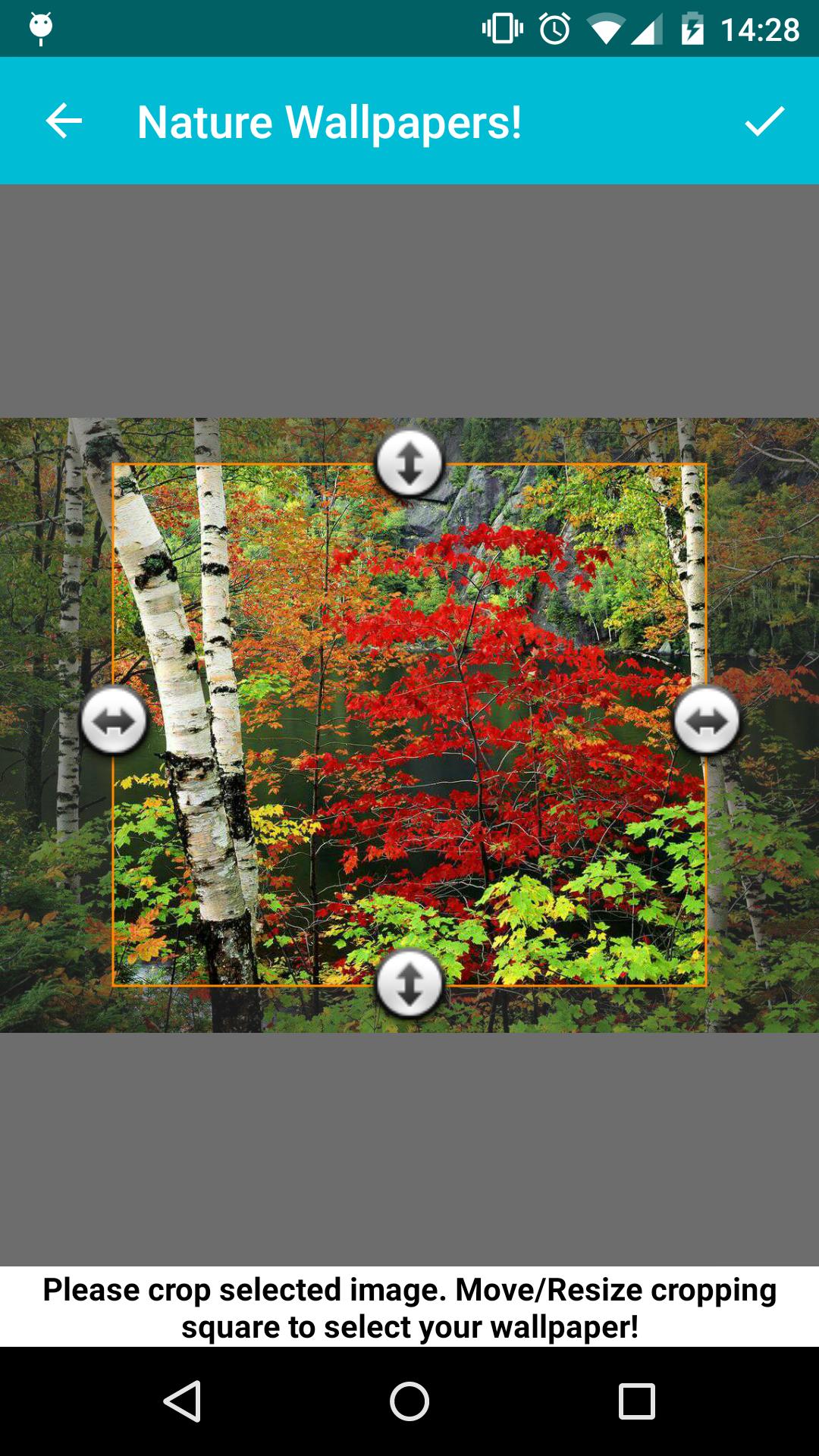 Nature Wallpapers!