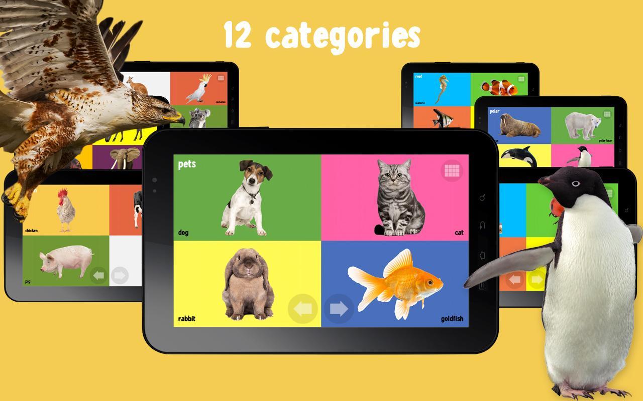 100 Animals Words for Babies