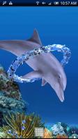 Dolphin Ring Trial