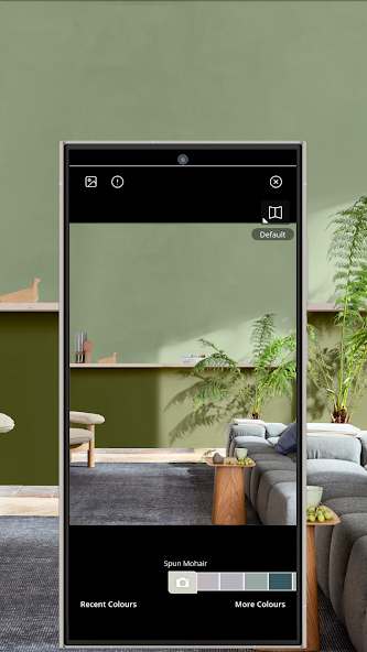 Dulux Visualizer IN