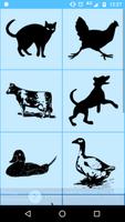 The Animal Sounds