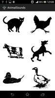 The Animal Sounds