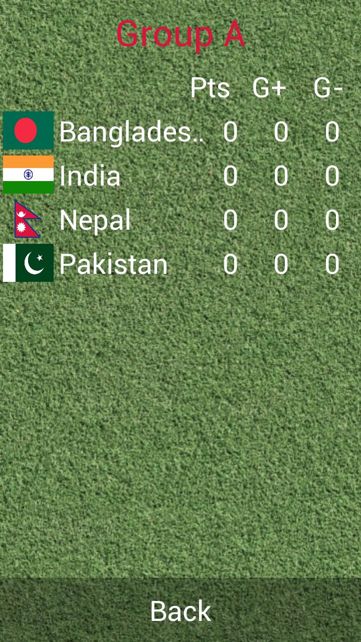 South Asian Football Champ2013