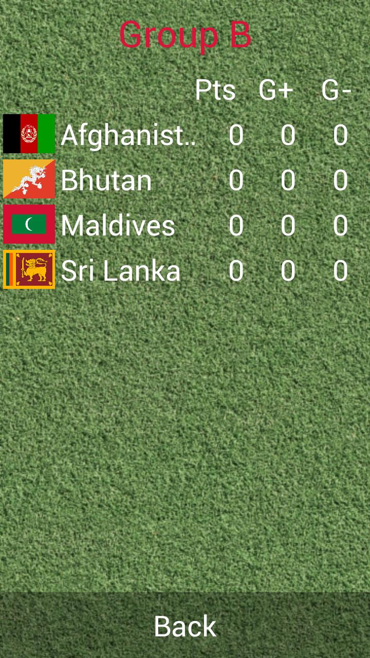 South Asian Football Champ2013