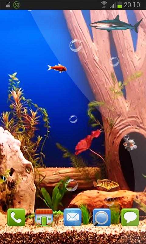 Summer Aquarim Free HD LWP