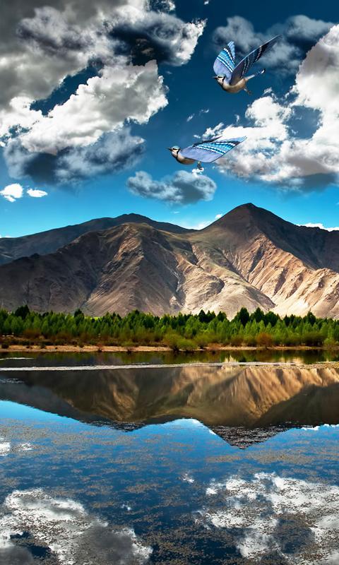 FREE Gallery launcher LWP