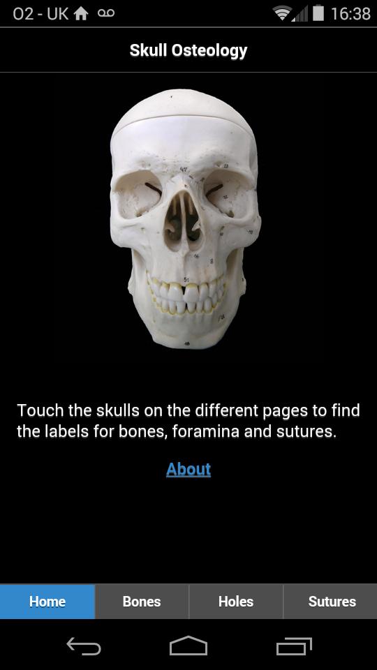 Skull Osteology