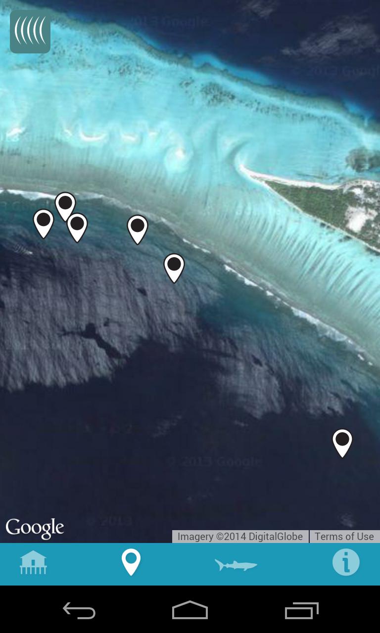 Whale Shark Network Maldives