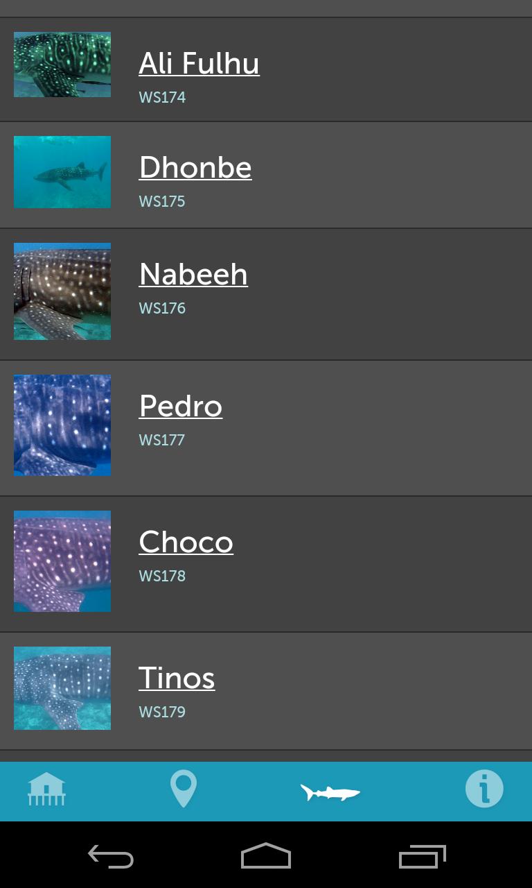 Whale Shark Network Maldives