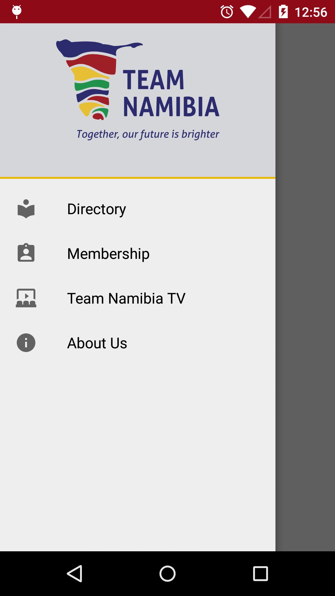 Team Namibia