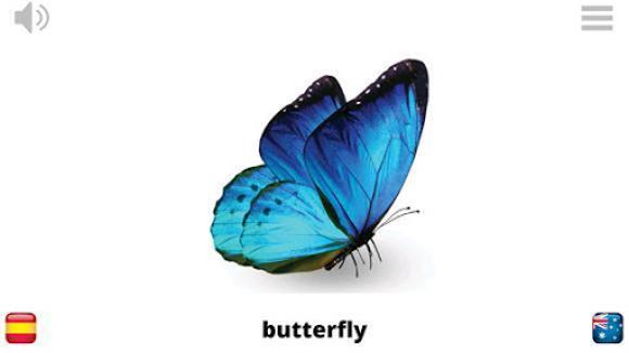 Lyrebird: Learn ANIMALS