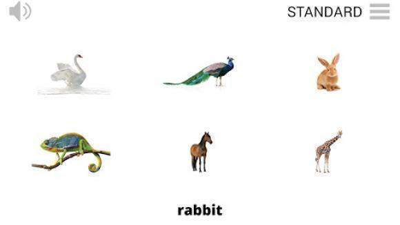 Lyrebird: Learn ANIMALS