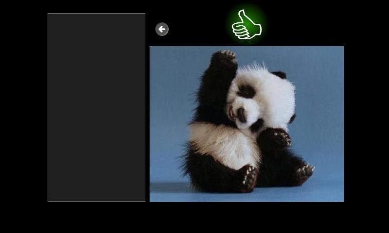 Jigsaw Puzzle Baby Animals