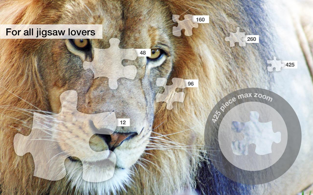 Lion Jigsaw Puzzles Demo