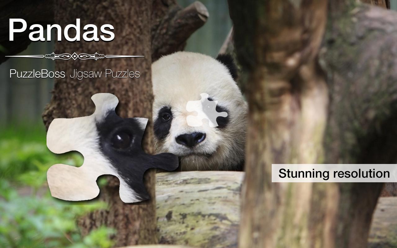 Jigsaw Puzzles: Pandas