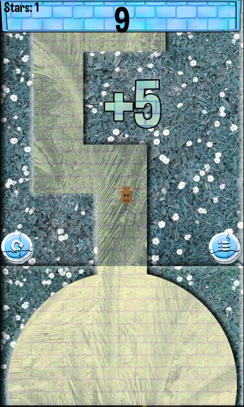 Follow the Road to Oz