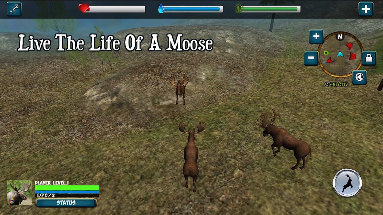 Moose Simulator