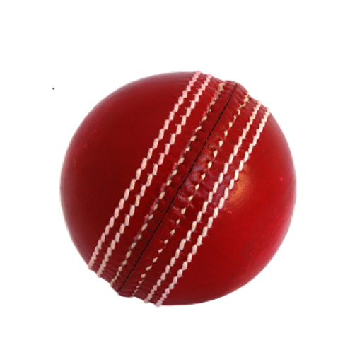 Cricket Simulator