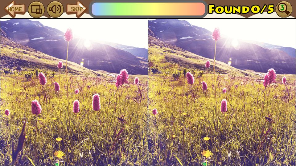 Line the Difference 75