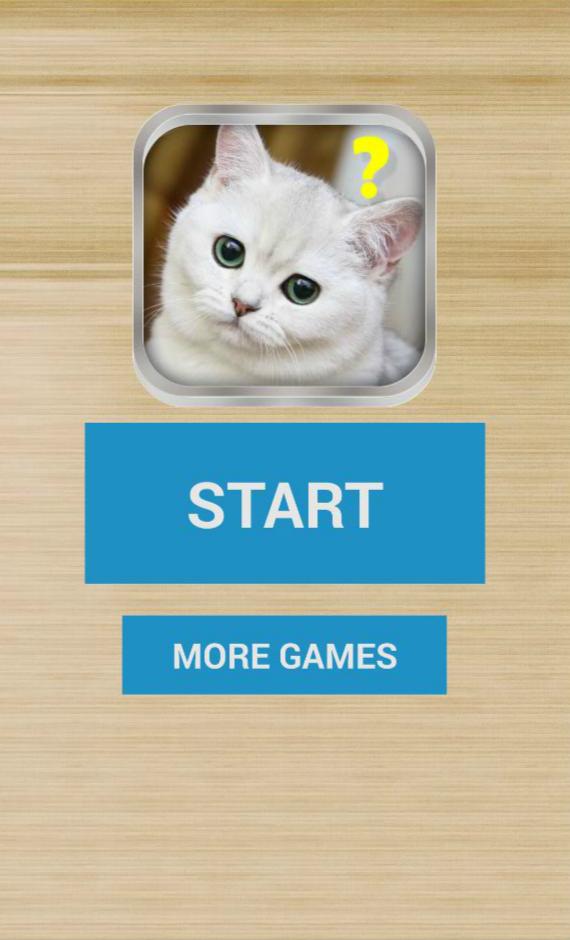 Cat assistant simulator