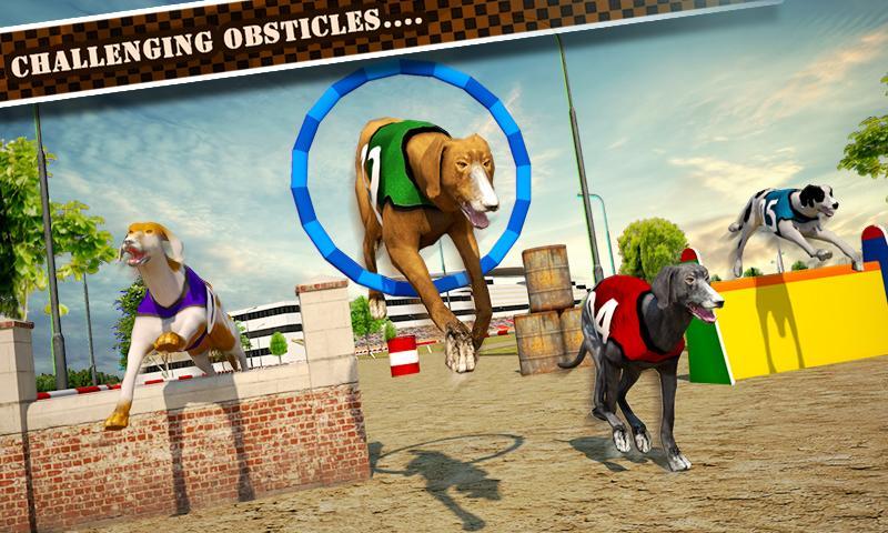 Dog Race & Stunts 2016