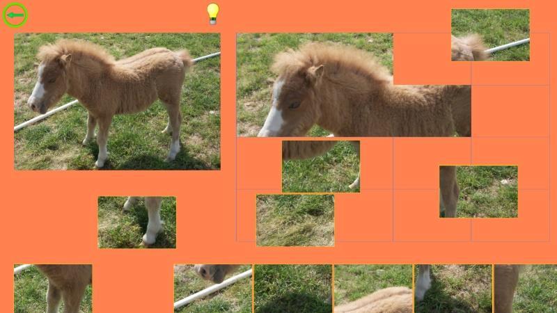 Horse Puzzle For Kids
